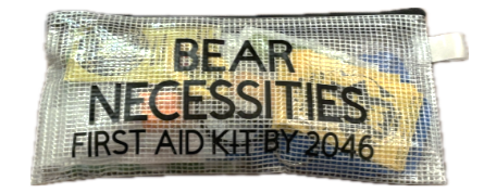 Bear Necessities — Tahoma Robotics